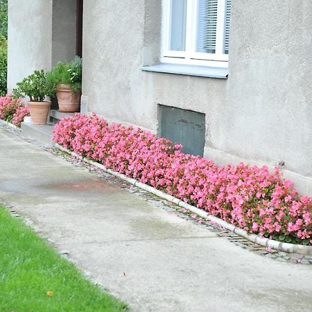 Studio Apartman D&D Varazdin Exterior photo