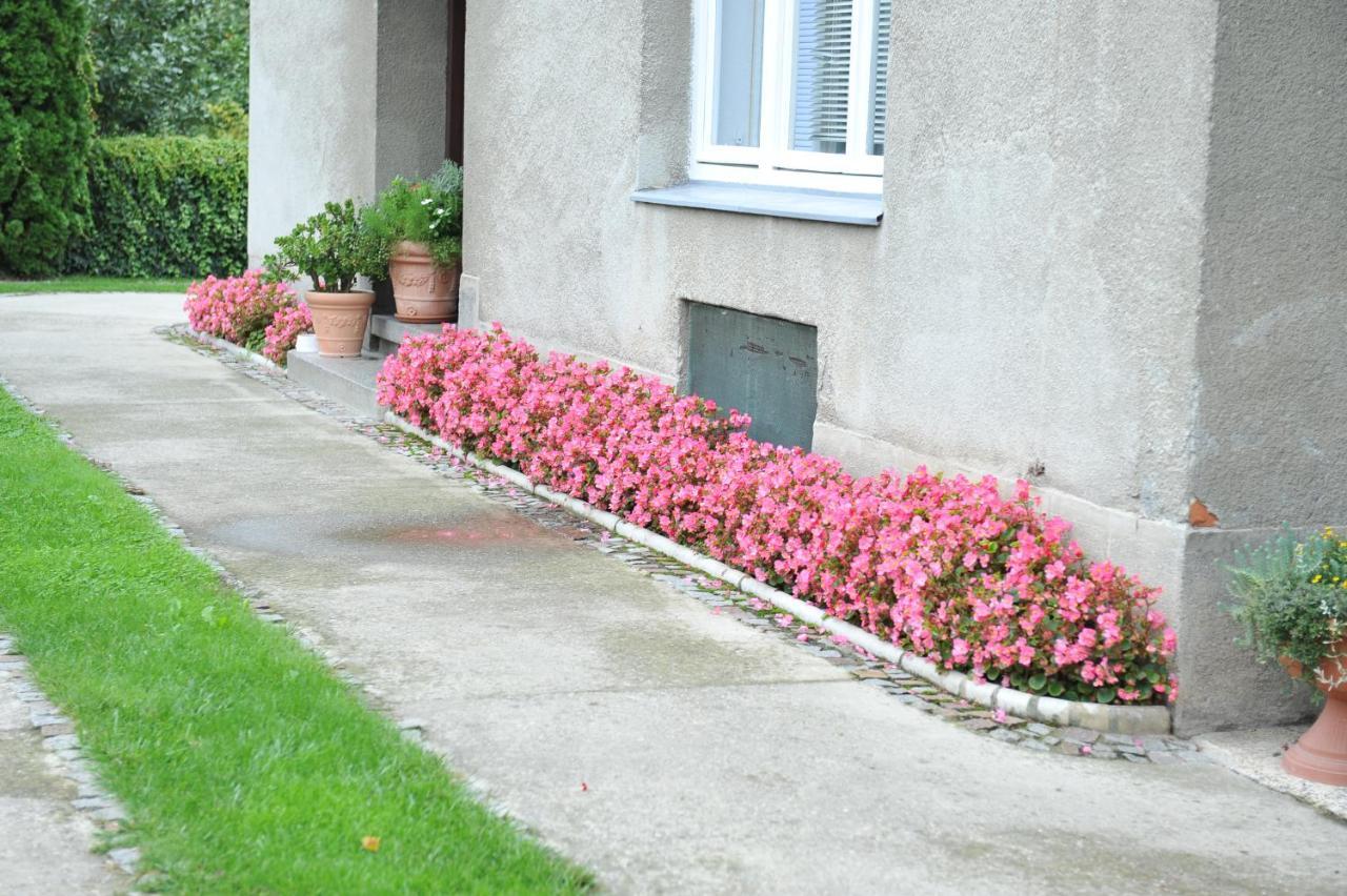 Studio Apartman D&D Varazdin Exterior photo